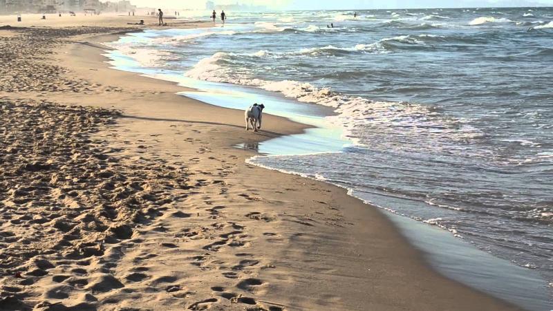 Apartamentos Gandia Playa De L'Ahuir 3000 外观 照片